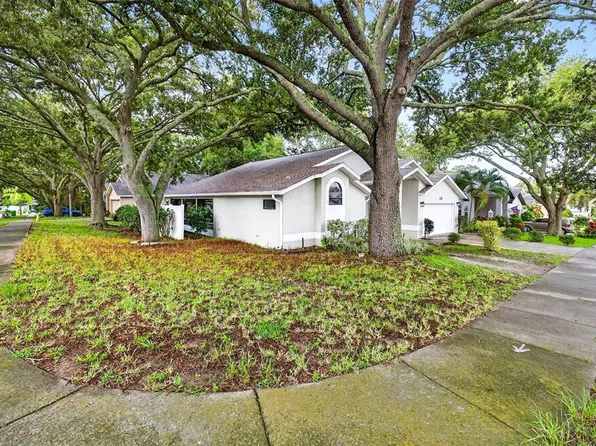 890 Kriswell Ct, Palm Harbor, FL 34683