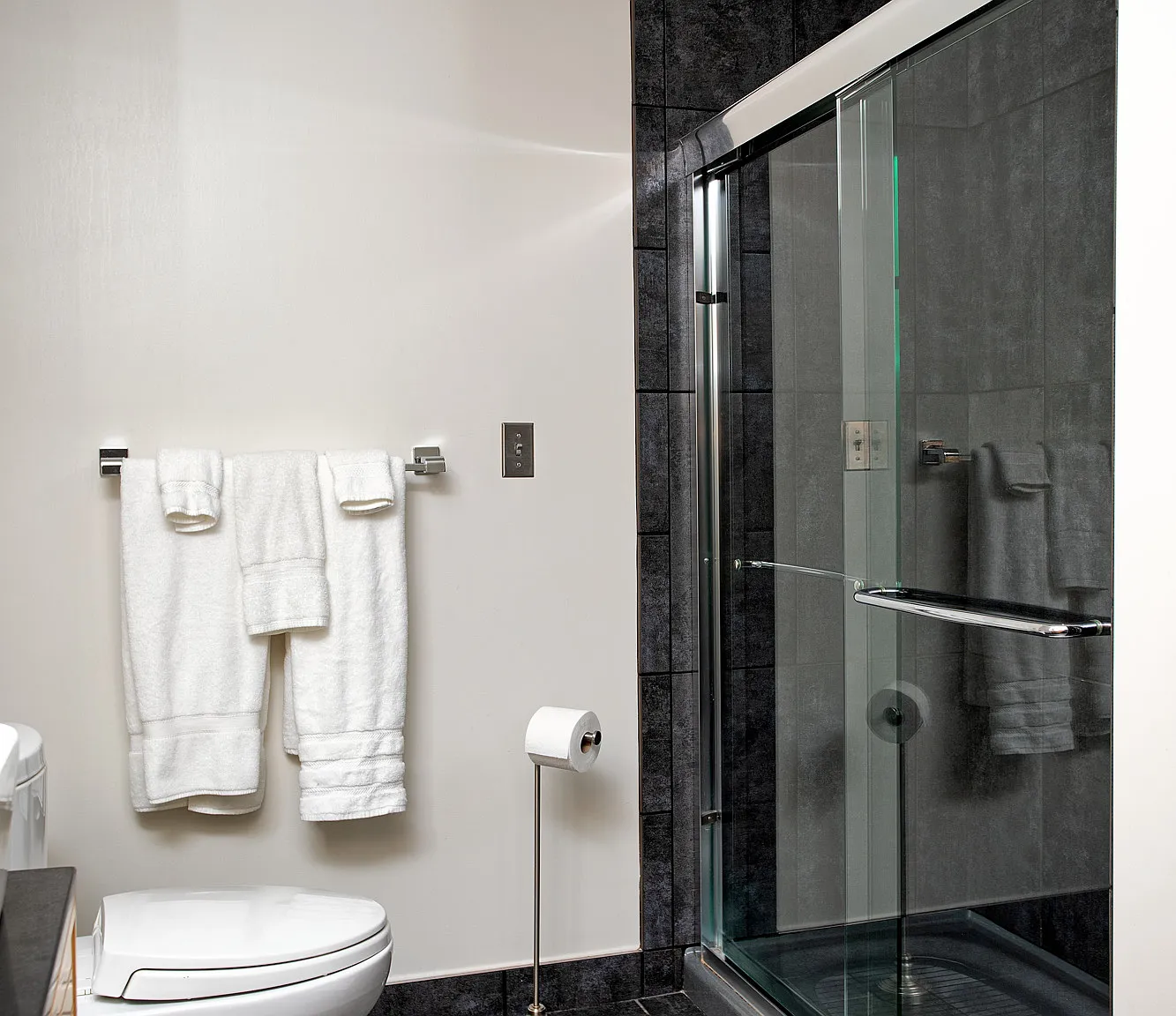 2 bed, 1300 sqft, $2,500 — Photo 3