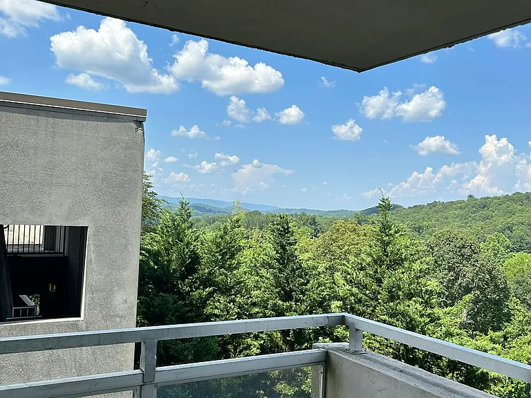 1131 Stringers Ridge Rd #3C — Photo 16
