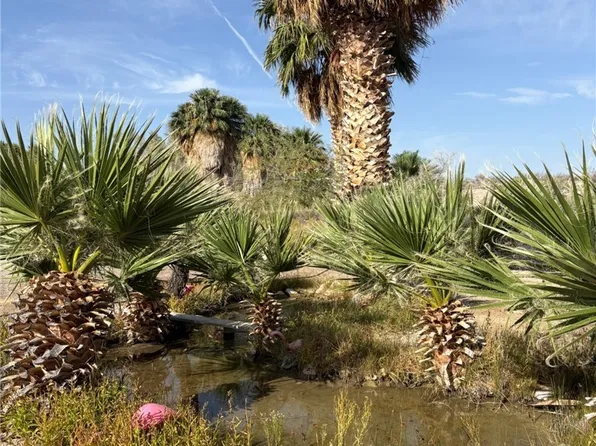 Gold Butte Rd, Bunkerville, NV 89007