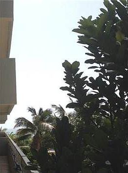 3rd image of 10205 Collins Ave APT 203