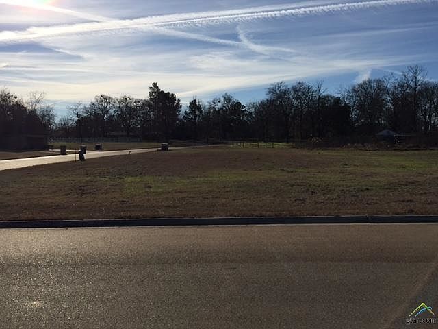 1st image of LOT 25 Blue Heron