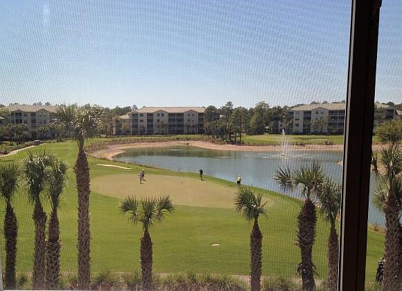 1st image of 4010 Loblolly Bay Dr Unit 304