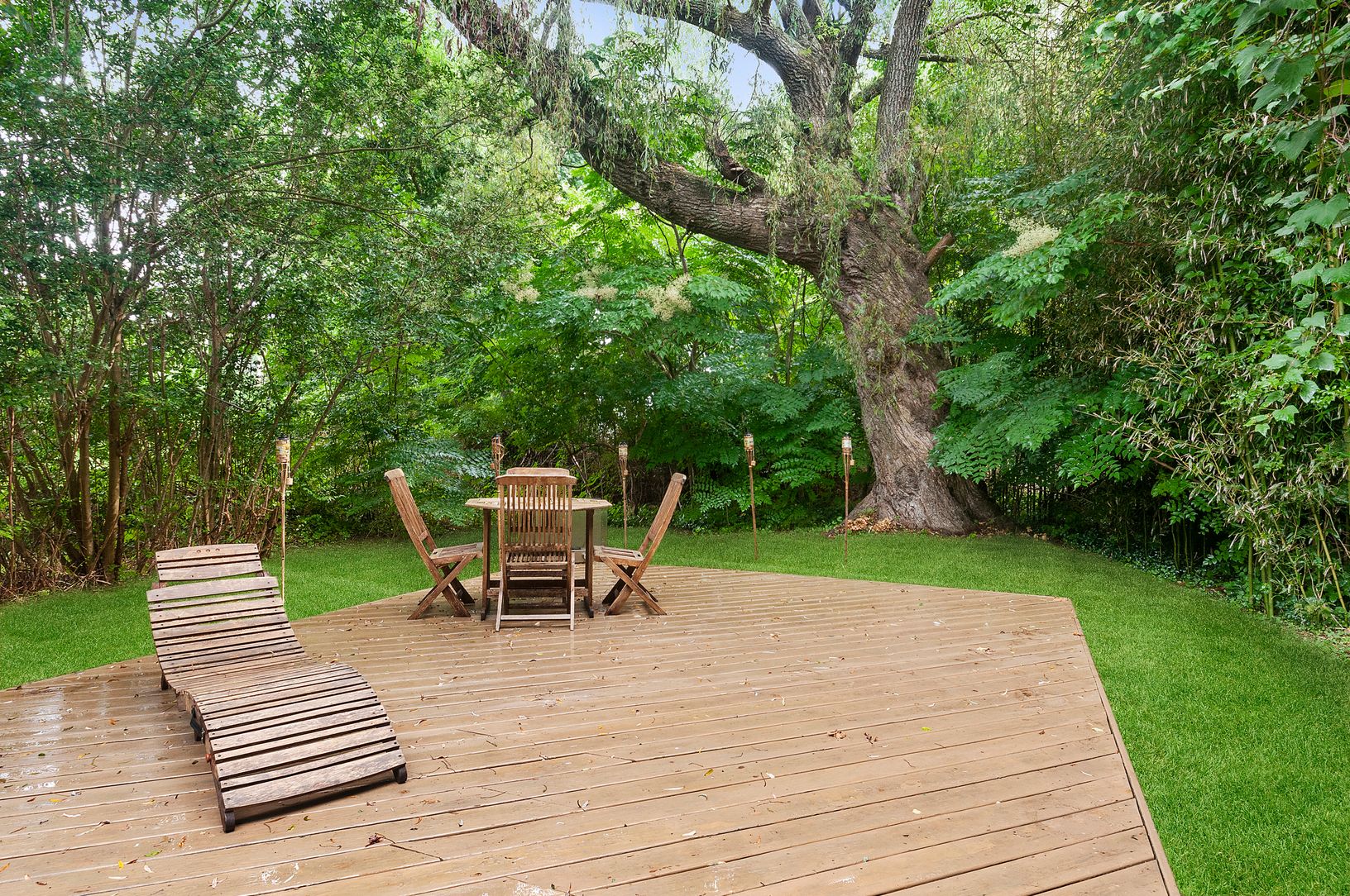  Zen Like Patio Shaded by Large Walnut Tree