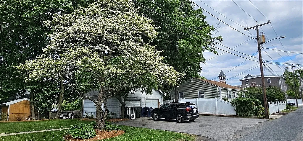 3 bed, 1500 sqft, $3,300 — Photo 3