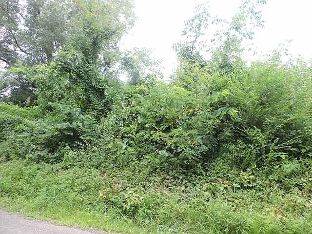 2nd image of 0 Douglas Ln