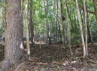 LOT 546 Satsuma Ct, Ellijay, GA 30540