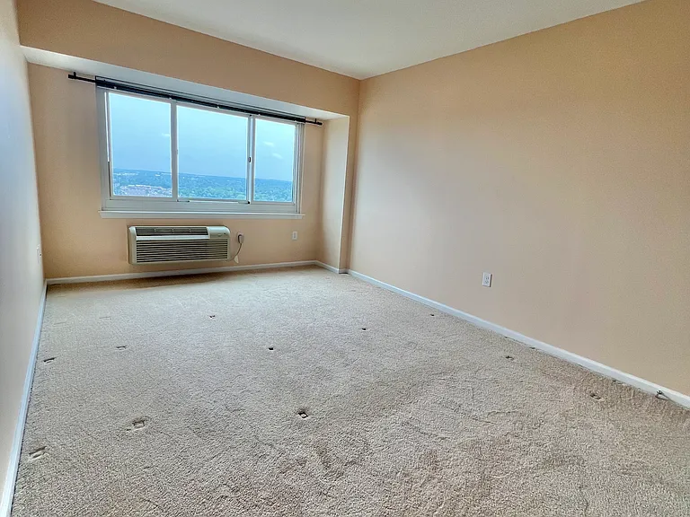 110 Somerset St #2103 — Photo 12