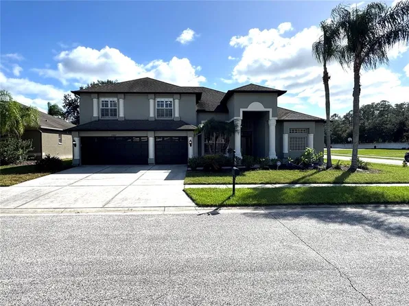 20802 LAKE TALIA BOULEVARD, LAND O LAKES, FL 34638