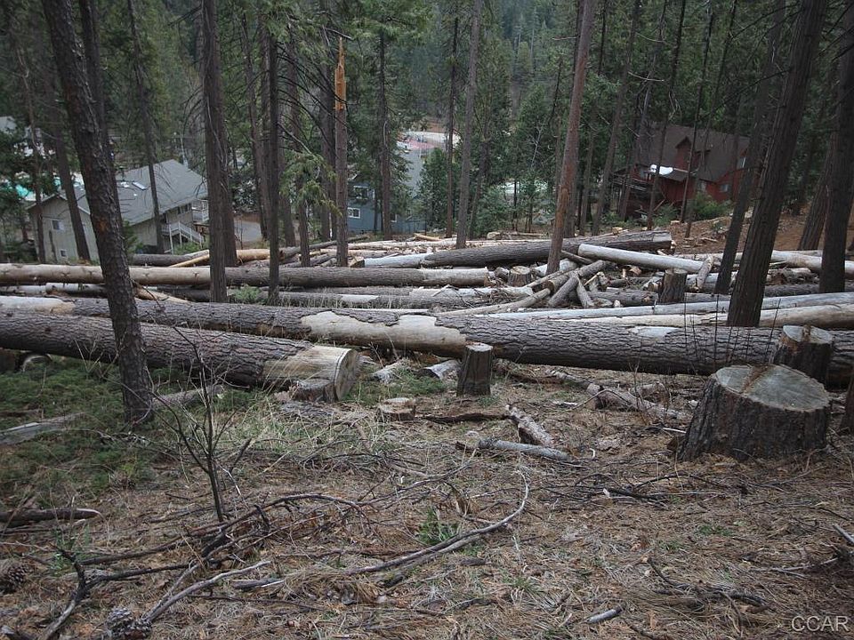 2nd image of 175 Moran Rd