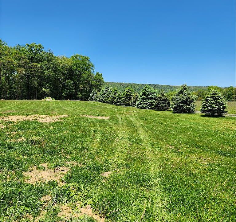 2nd image of 3961 Mountain Rd