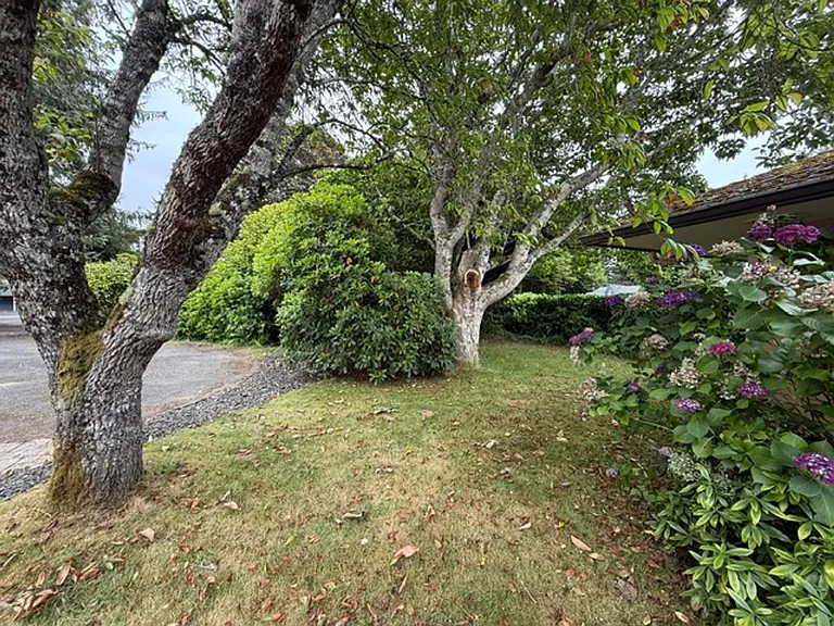 91251 Cape Arago Hwy — Photo 71
