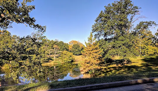 Carondelet Park