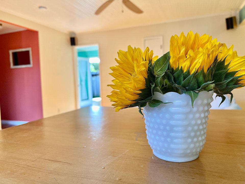 Kitchen Counter