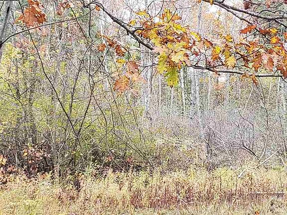 4th image of 0 Ridge Rd