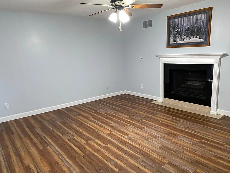 LR gas fireplace