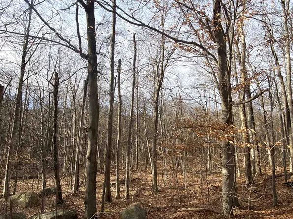 6 Fred Johnson Circle #17, Middlebury, VT 05753