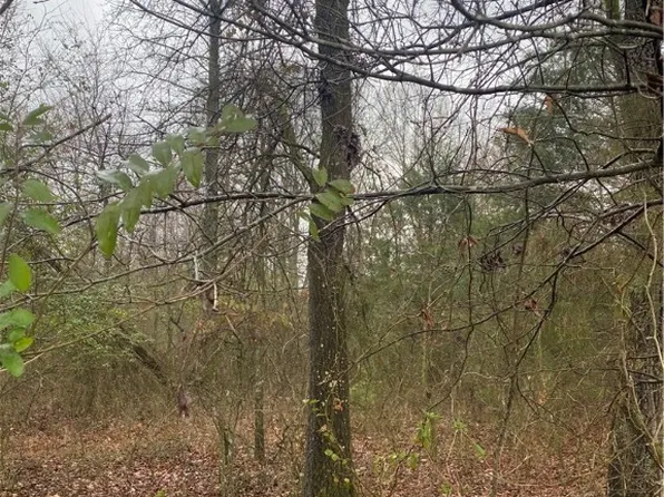 10102 Big Pine Ln, Havana, AR 72842