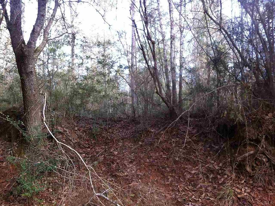 2nd image of LOT 6 Red Cloud Rd