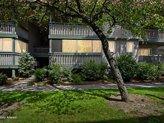 3rd image of 217 Kiely Blvd #B