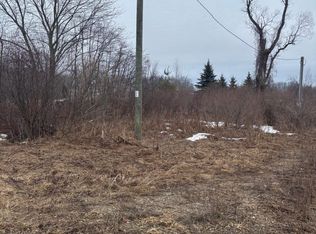 20003 Bullhead Lake Dr, Evart, MI 49631