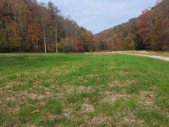 TBD Brush Run Road, Reader, WV 26167