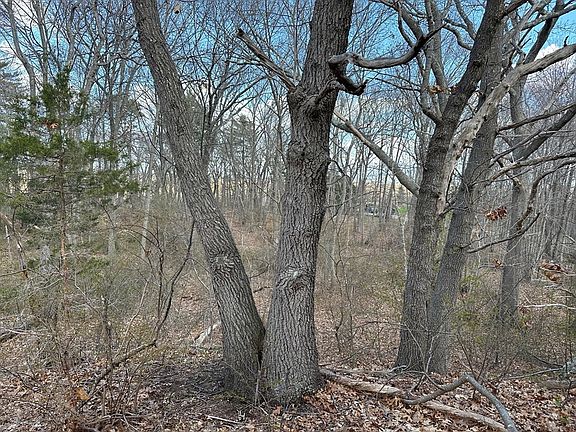 5th image of 27 Old Pine Island Rd