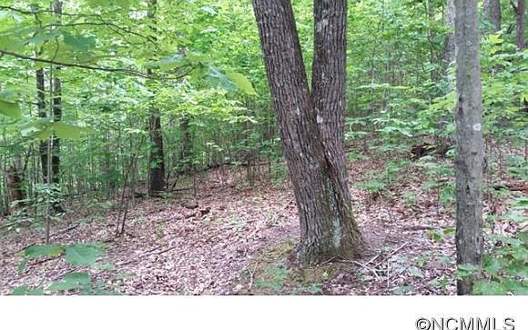 2nd image of 228 Verbena Dr