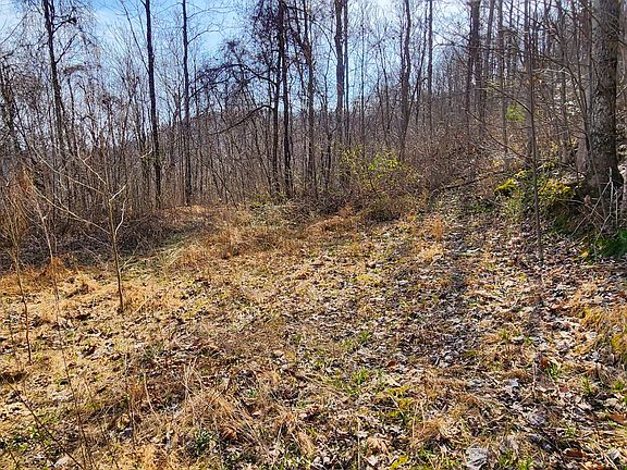 4th image of 0 Dry Creek Rd