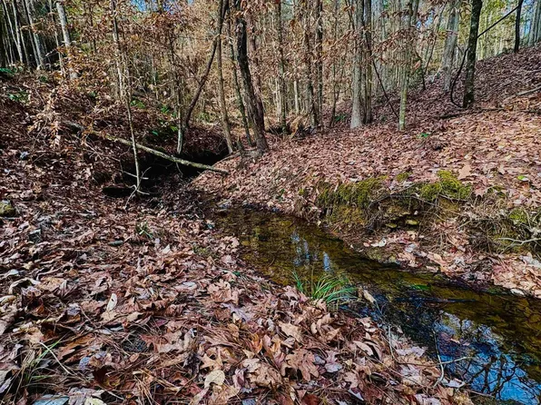 LOT 59 County Road 1060, Center, TX 75935