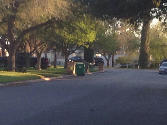 4th image of 1309 S Cypress St