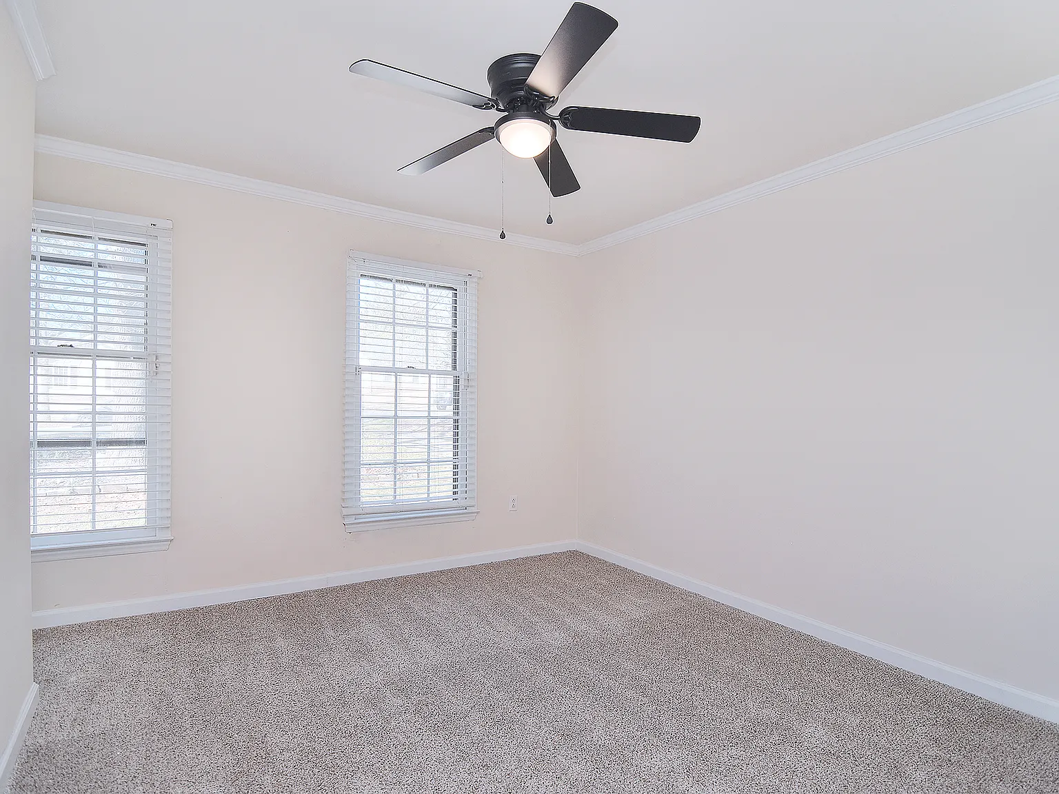 Chestnut Lake Dr, Charlotte — Photo 3