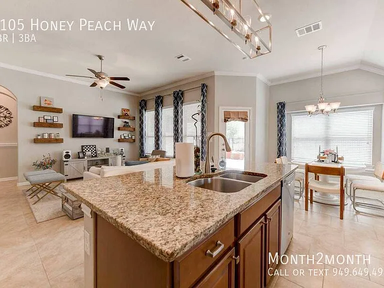 3105 Honey Peach Way — Photo 4