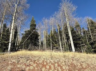 1591 Cascade Overlook, Angel Fire, NM 87710