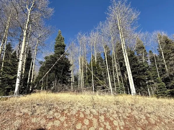 1591 Cascade Overlook, Angel Fire, NM 87710