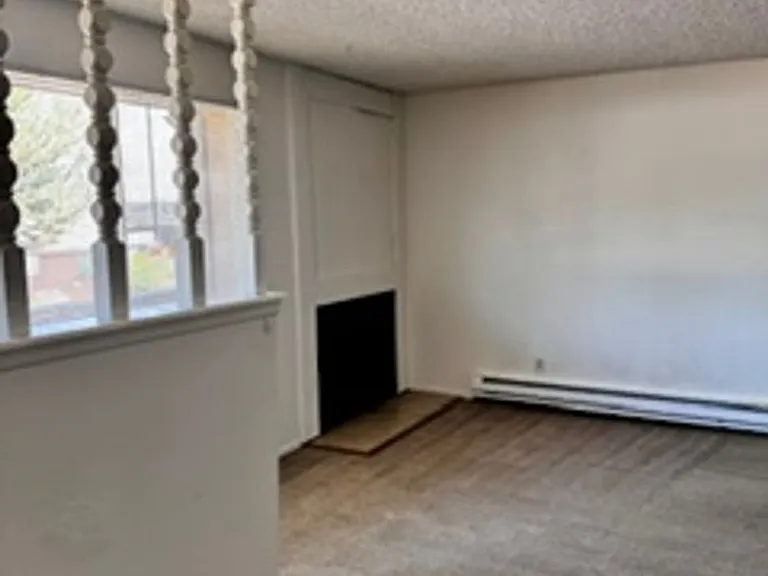 708 Delaware Ave #D — Photo 4