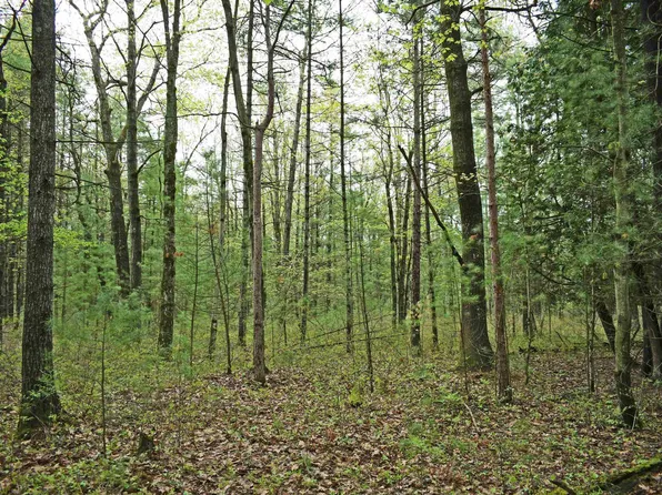 0 Schill Rd, East Tawas, MI 48730