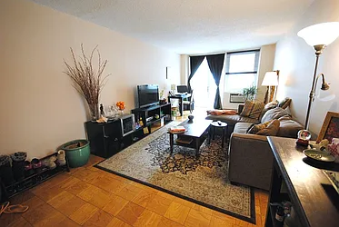 Rented by Bold New York