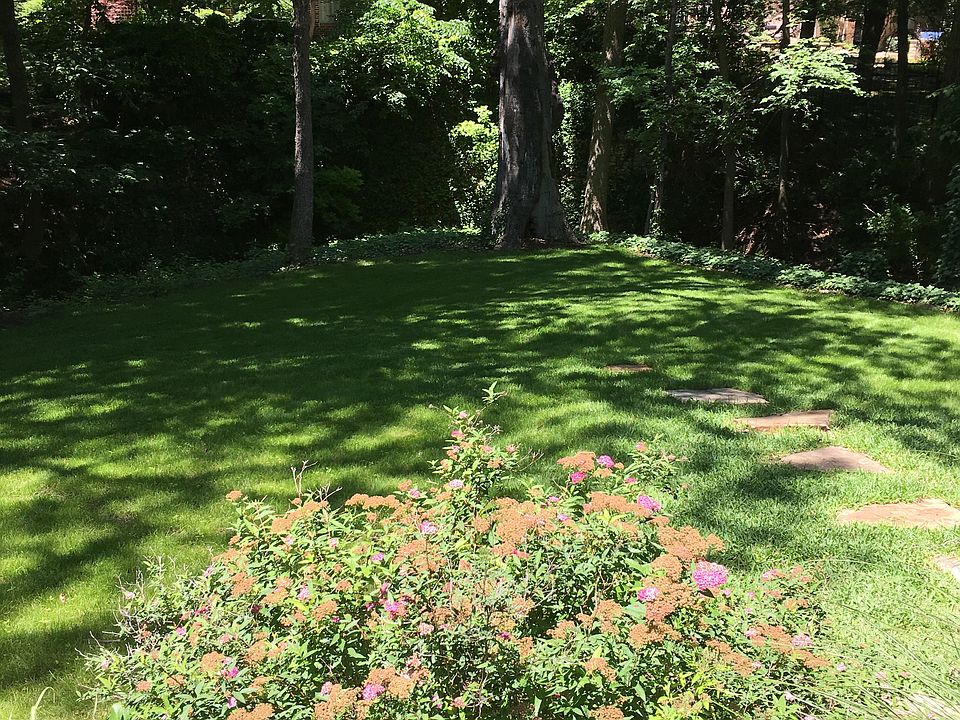 2nd image of 809 Buffalo Springs Dr