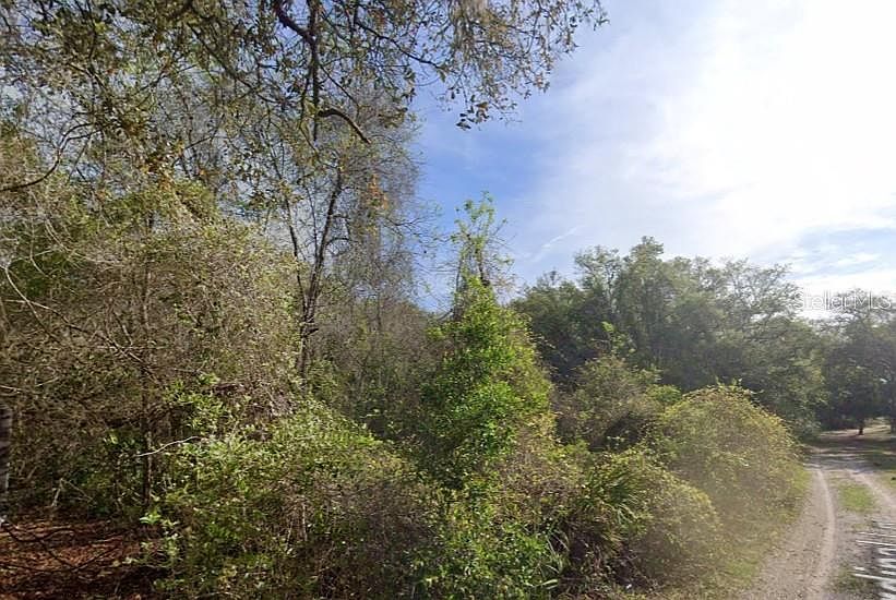 1st image of 0 NE 437TH AVE LOT 5