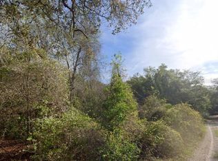0 NE 437th Ave LOT 5, Old Town, FL 32680