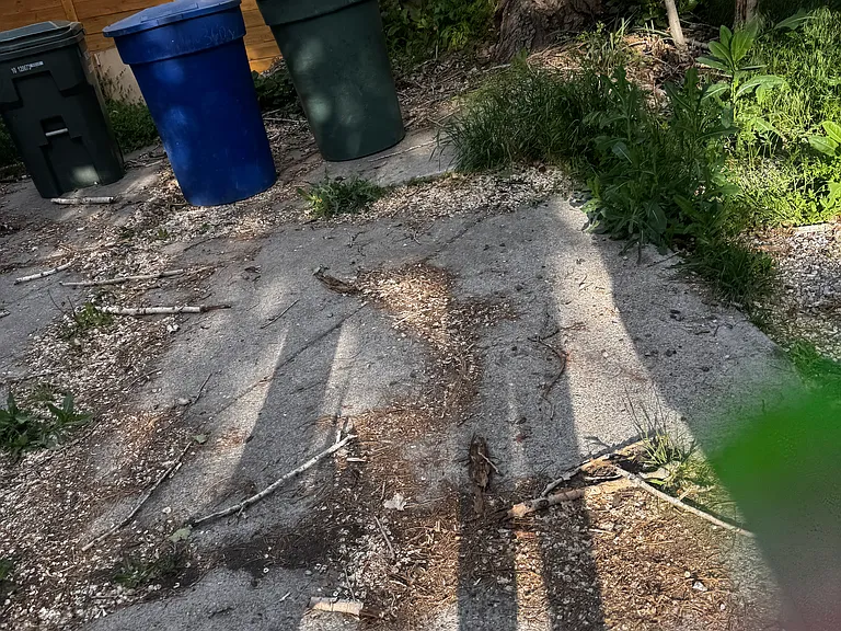 354 E Edith Ave #B — Photo 5