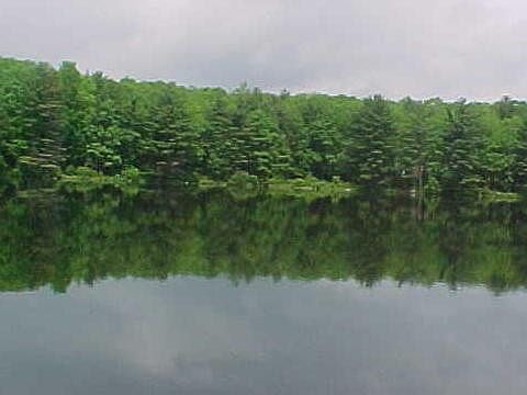 2nd image of Bone Ridge Rd