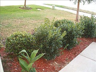 1st image of 3016 Saint Ursula Dr