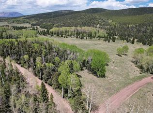 3107 Henderson Dr, Fort Garland, CO 81133