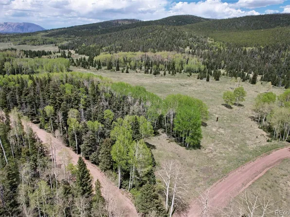 3107 Henderson Drive, Fort Garland, CO 81133