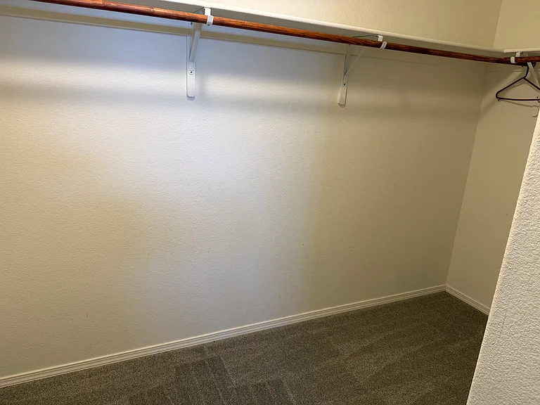 Primary Walk-in Closet