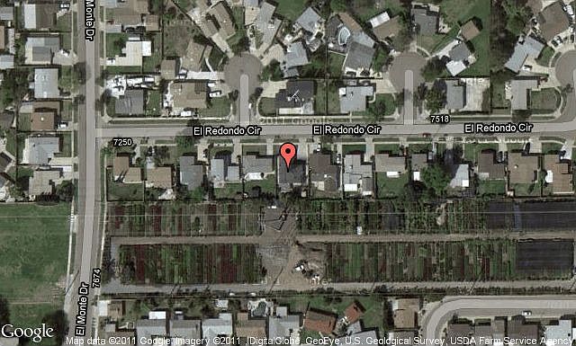 Map View
