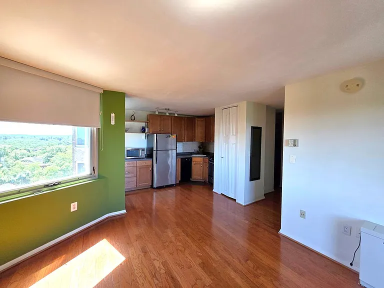 2800 Wisconsin Ave NW #Penthouse 1002 — Photo 9