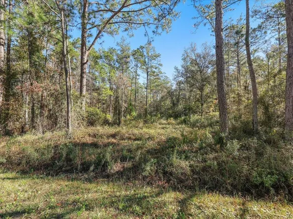 10690 Gregory Ave, Hastings, FL 32145